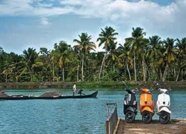 Backwaters cruise (half day)