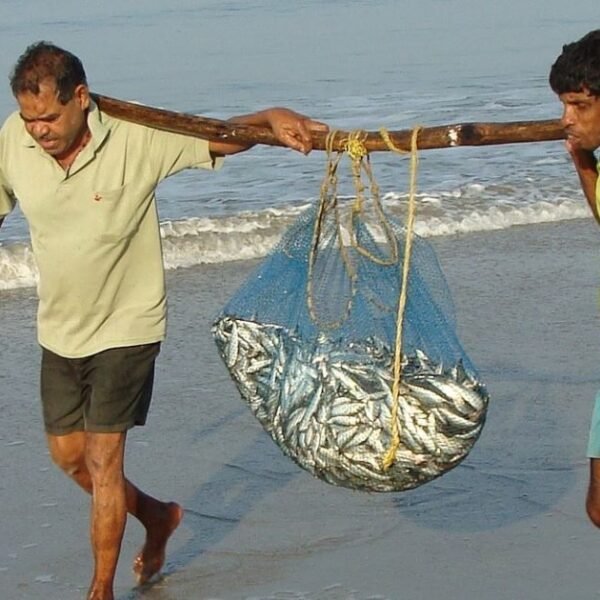 Old Goa and the capital Panjim