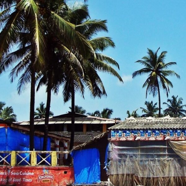 The cultural and plantation tour of Goa