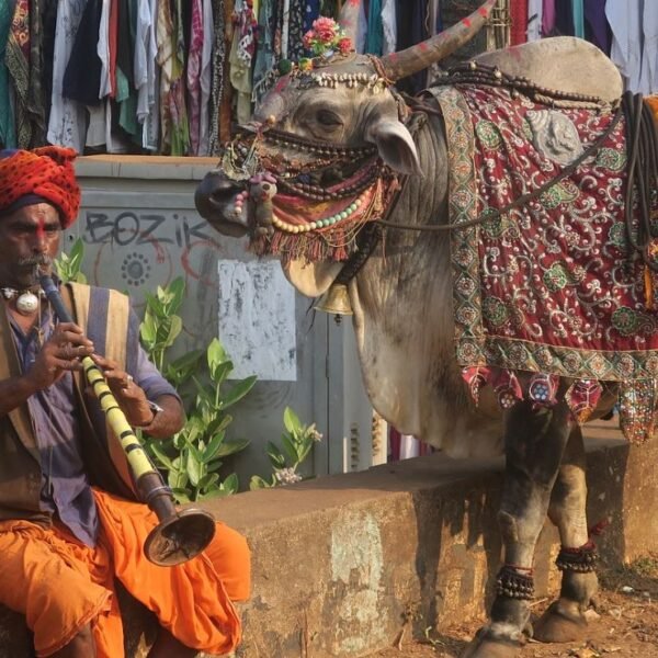 Experience Goa and Beach