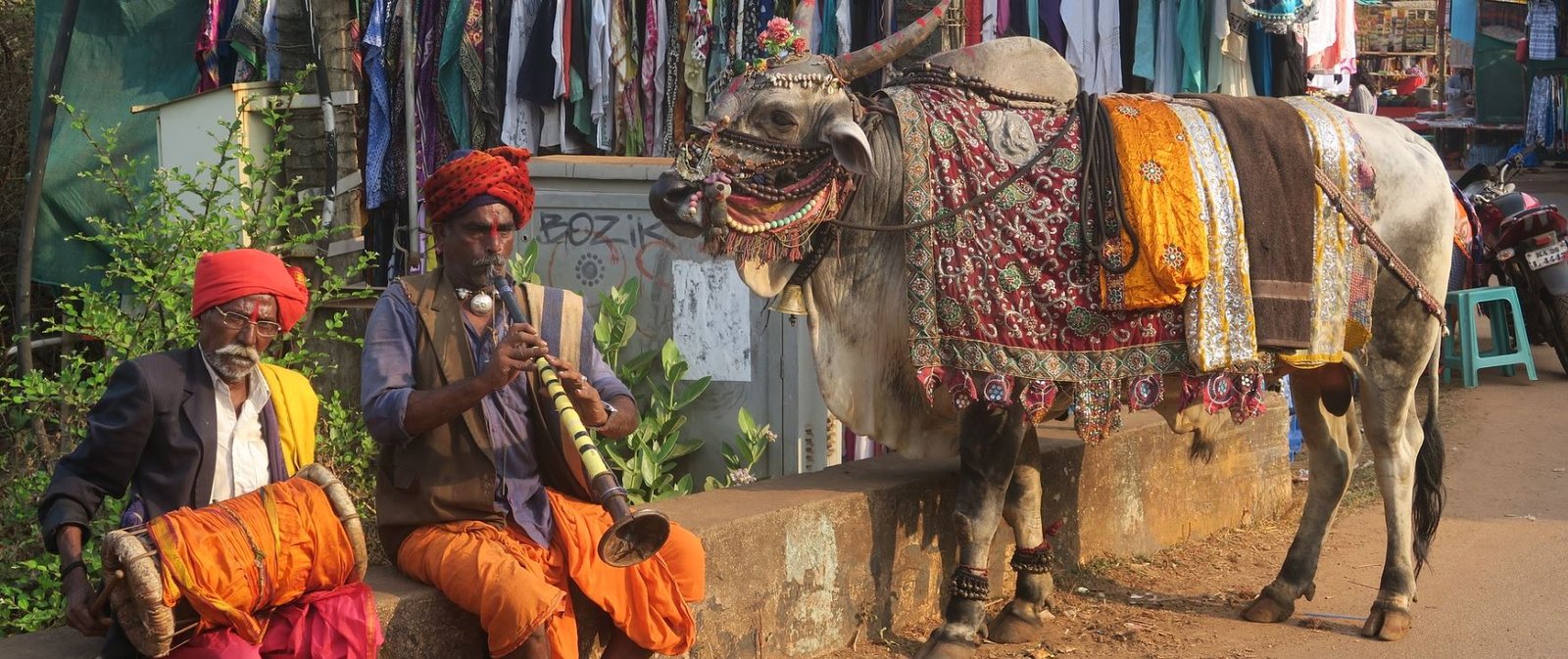 tour pacchetti in india