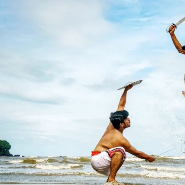 City highlights and harbour cruise