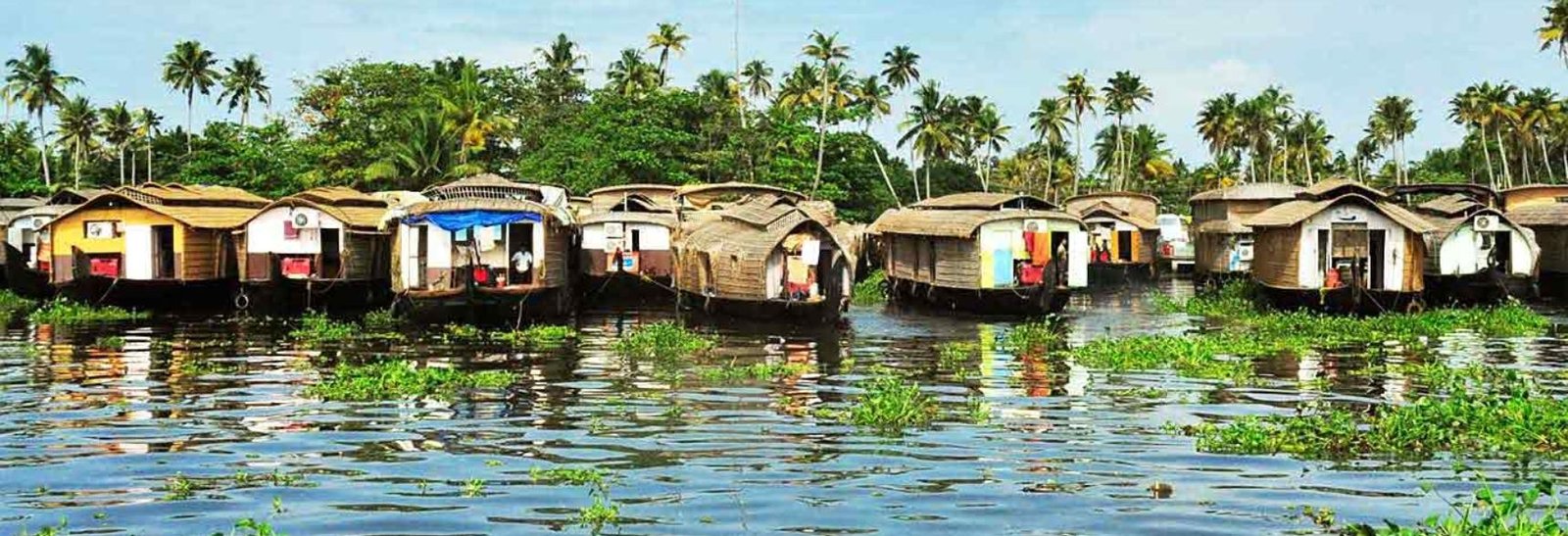 tour pacchetti in india