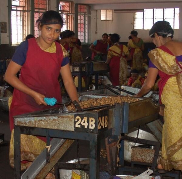 Tuk Tuk Tour in New Mangalor