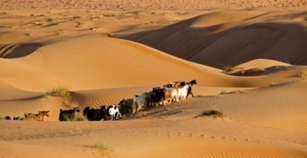 Best places to see in Oman