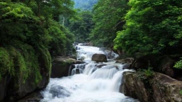 Khao-Yai-National-Park