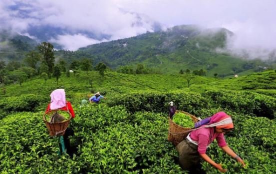 Munnar