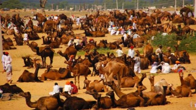 Lugar famoso para visitar em Pushkar, Rajastão.
