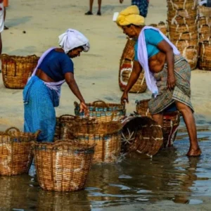 Tour in Kerala and Karnataka