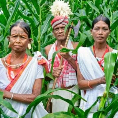 Cultral tour orissao